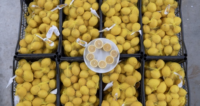 Mersin’in limonları bu kez başkent için yola çıktı
