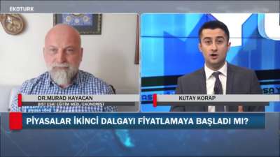 Hangi Sektöre Yatırım Yapılmalı?