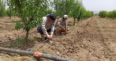 Ödemişli çiftçi damlama sulamaya yöneliyor