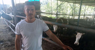 5 hibe düveyle başladı, çiftlik sahibi oldu