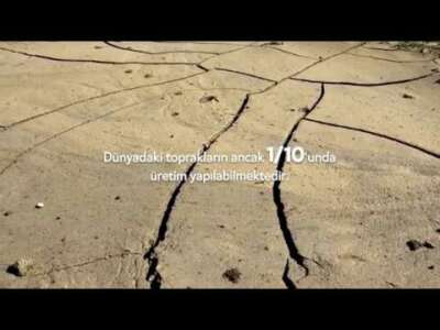 Dünya Çevre Günü