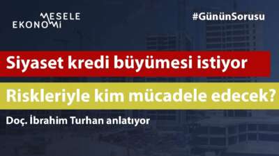 Siyaset kredi büyümesi istiyor, peki riskleri kim karşılayacak?