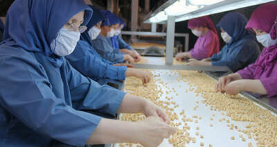 Bayraktar: 'Fındığa katma değer sağlayan bir kurum haline geldik'