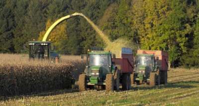 HEKTAŞ, tohum ıslahına odaklanıyor