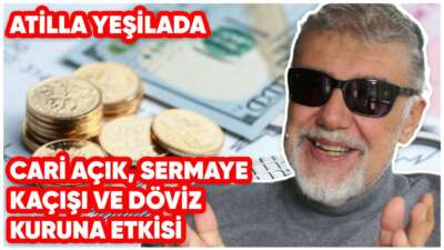 Cari Açık, Sermaye Kaçışı ve Döviz Kuruna Etkisi