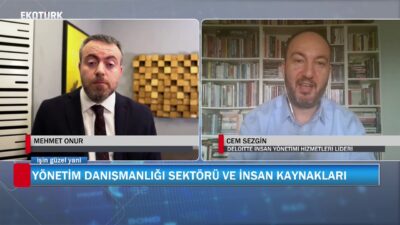 YÖNETİM DANIŞMANLIĞI SEKTÖRÜ VE İNSAN KAYNAKLARI
