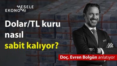 Kamu Bankalarında Artan Açık Pozisyon ve Sabitlenen Dolar Kuru Politikası