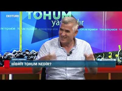 Tohum Hakkında Merak Edi̇len Herşey | Prof.Dr. Yalçın Kaya | Tohum Yaşamdır.
