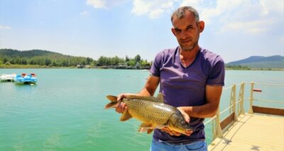 Sazanların boyu 50 santimetreye ulaştı