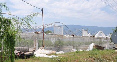 Termal seraları dolu ve fırtına vurdu