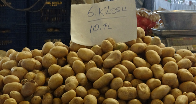 Türkiye’de bu yıl 5 milyon ton patates üretimi bekleniyor