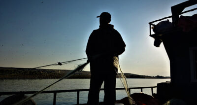 Van Gölü balıkçıları bereketli bir sezon bekliyor