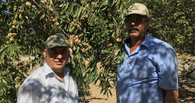 Adıyaman’da badem verimi ikiye katlandı