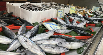 Bu sene tezgahlar da sofralar da balığa doyacak