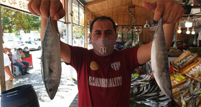 Denizlerin kralı tezgahların hükümdarı oldu