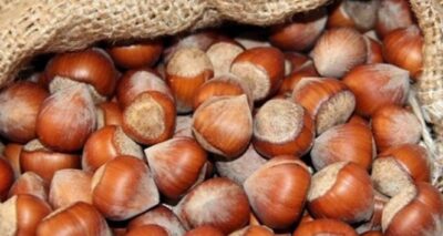 Fındık ihracatında Almanya’nın tahtını İtalya kaptı