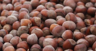 Fındık üreticisine emanet uyarısı