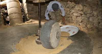 Hizan'da üretilen çeltik 150 yıllık değirmende öğütülüyor