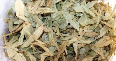 Ihlamurun fiyatı yüzde 100 arttı