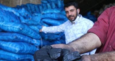 Kara elmasın satışı başladı