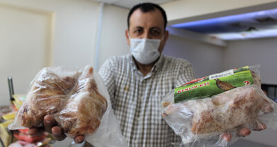 Mangallık keklik ve sülün üretti, siparişlere yetişemiyor