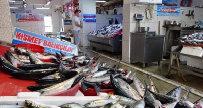 Palamut büyüdükçe fiyatı da arttı