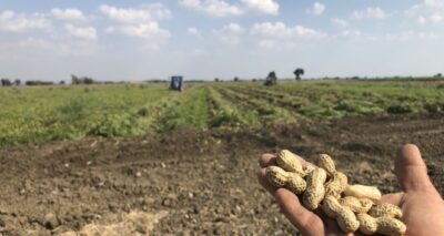 Toprağın altında da üstünde de milli servete dönüştü