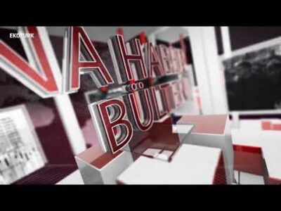 Pandemide Türk Ekonomisi|Abdurrahman Kaan |Hasan Servet Öktem | Fatih Altunbaş |Ali Çağatay