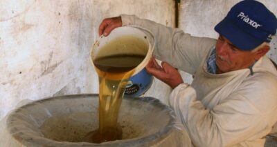 Çam balında kayıp yıl