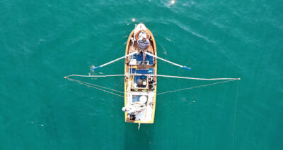 Palamut küstü, fiyatlar yükseldi