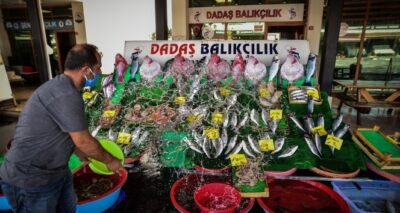 Tezgahlarda palamut azaldı, fiyatlar 15 liradan 25 liraya yükseldi