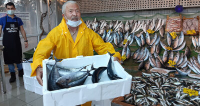 Tezgahlarda palamut bolluğu