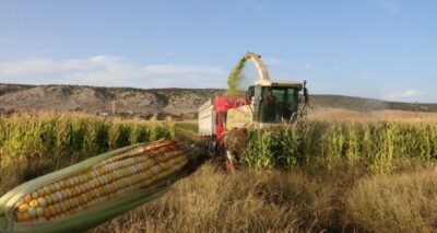 Türkiye’nin hayvan yemi Gaziantep’ten