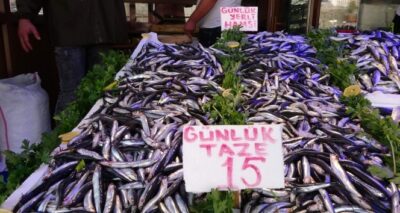 Yerlisi çıktı, kilosu 40 TL'den 15 TL'ye düştü