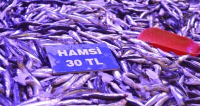 Hamsi fiyatlarında yükseliş sürüyor