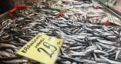 Hamsinin fiyatı yarı yarıya düştü