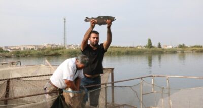 Karadeniz’in balığı Güneydoğu’dan