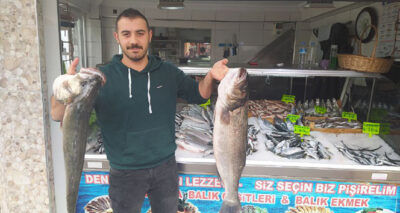 Kilosu 140 liradan satılıyor