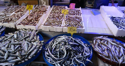 Pandemi balık fiyatlarını düşürdü