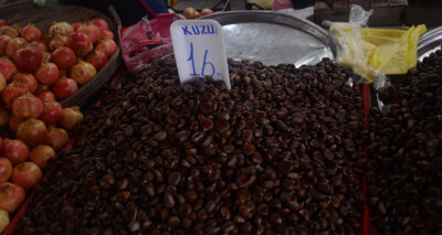 Son 20 yılın en düşük fiyatı