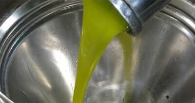 Zeytin yağında doğru bilinen yanlışlar