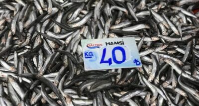 Balık fiyatları cep yakıyor