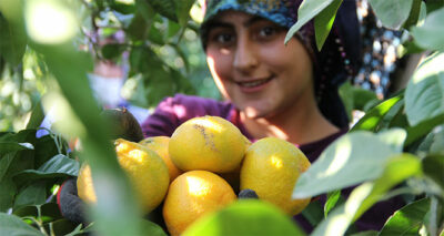 Dalında 1,5 markette 8 lira