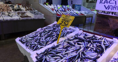 Hamsi fiyatıyla şaşırtmaya devam ediyor