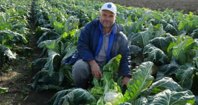 Karnabahar fiyatları korona virüsle uçuşa geçti