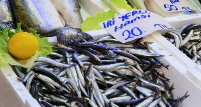 Palamut sezonu bitti, Karadeniz hamsisi 20 lira