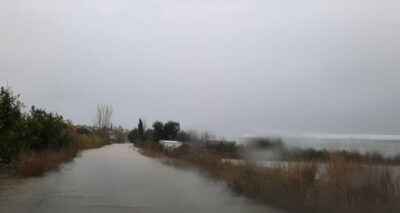 TARSİM: 'Ülkemiz için üreten ve alın teri döken üreticimizin daima yanındayız'