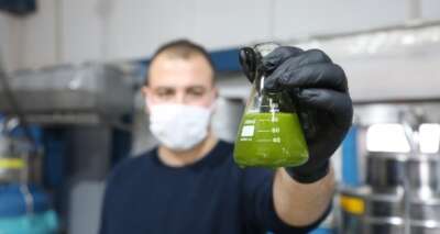 'Yeşil altın' olarak biliniyor, litresi 250 liradan satılıyor