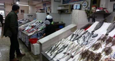 Hamsi olmayınca sezonu erken kapattılar