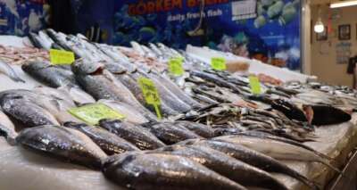 Kuvvetli fırtına ve sağanak, balık fiyatlarını uçurdu